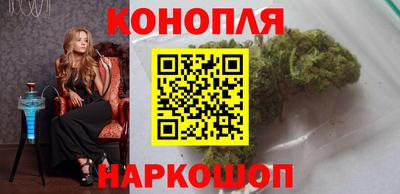 сатива Камышлов