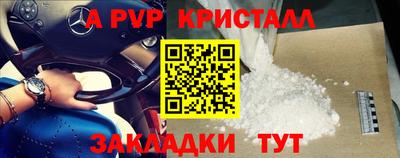 сатива Камышлов