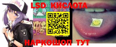 молекула духа Кингисепп
